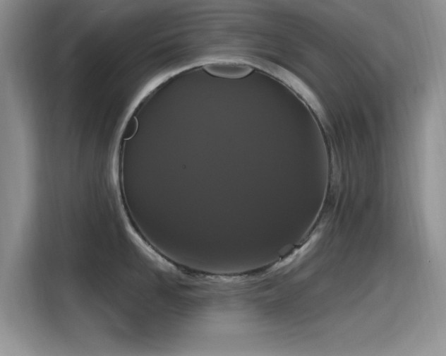 X0000115320958200911091154