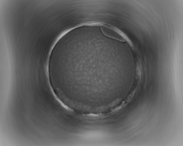 X0000115320959200911091154