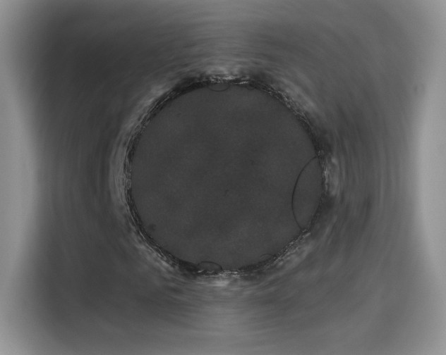 X0000115320961200911091154