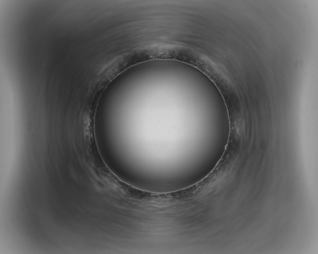 X0000115320964200911091154