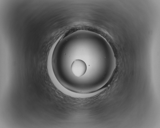X0000115320965200911091153