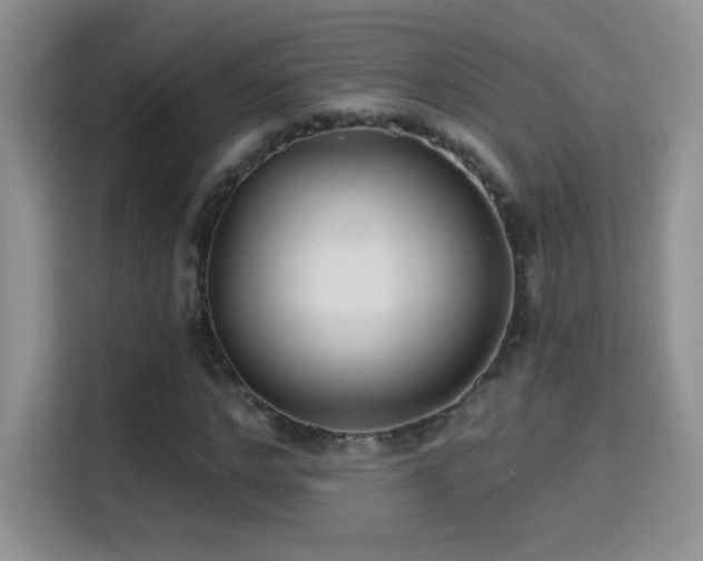 X0000115320968200911091153