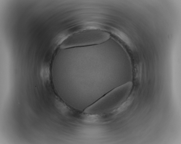 X0000115320969200911091153