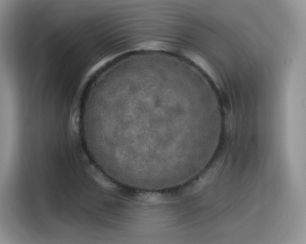 X0000115320971200911091153