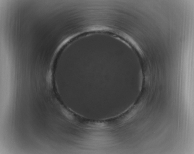 X0000115320975200911091153