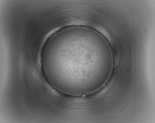 X0000115320979200911091153