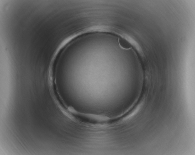X0000115320981200911091153