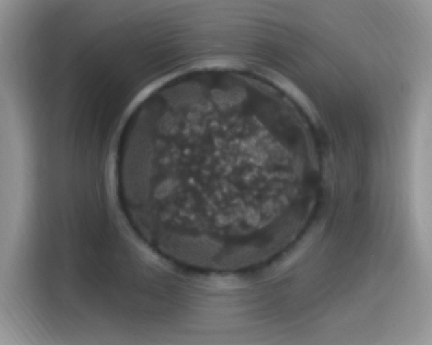 X0000115320983200911091153