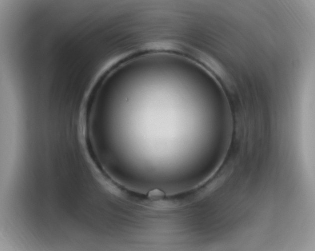 X0000115320984200911091153