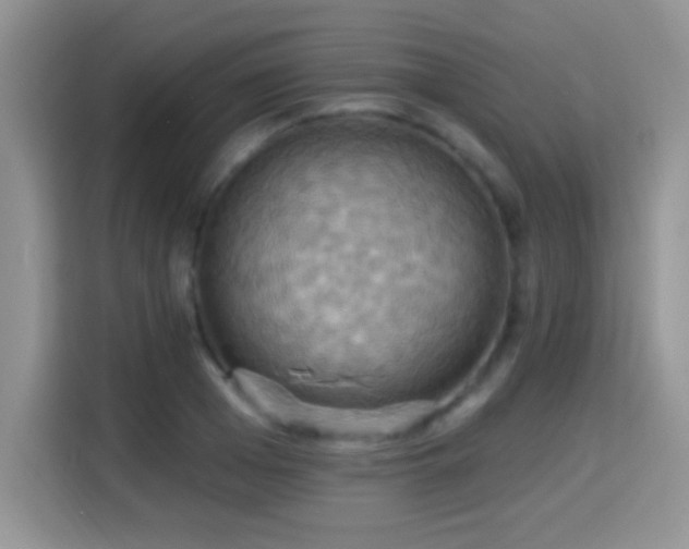 X0000115320985200911091153