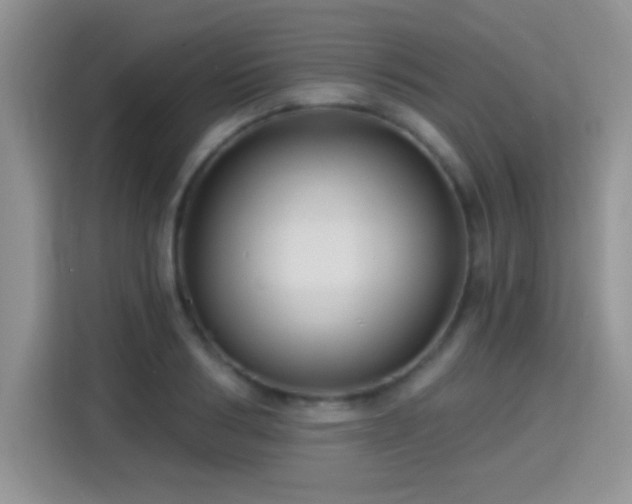 X0000115320986200911091153