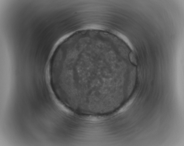 X0000115320987200911091153