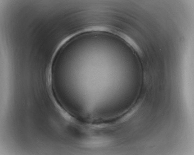 X0000115320988200911091153