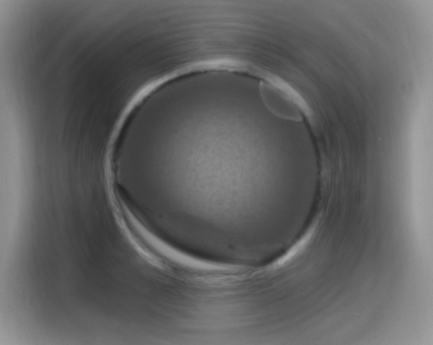 X0000115320989200911091153