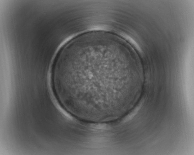 X0000115320991200911091153
