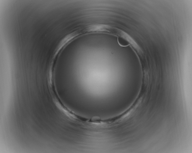 X0000115320994200911091153