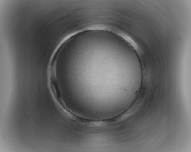 X0000115321000200911091153