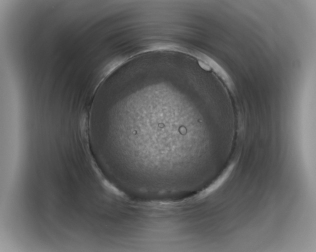 X0000115321001200911091153