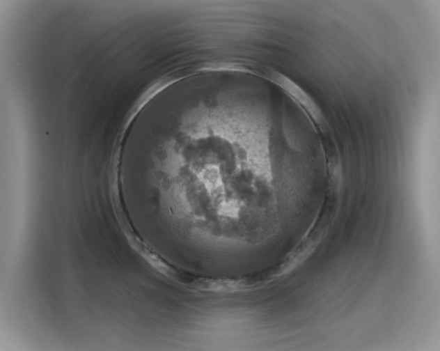 X0000115321002200911091153