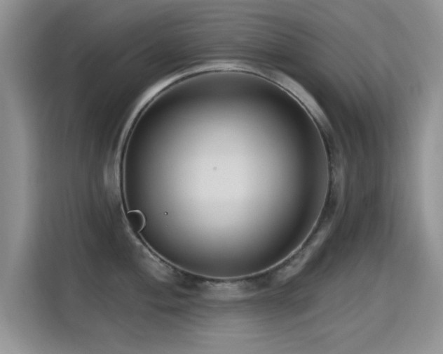 X0000115321004200911091153