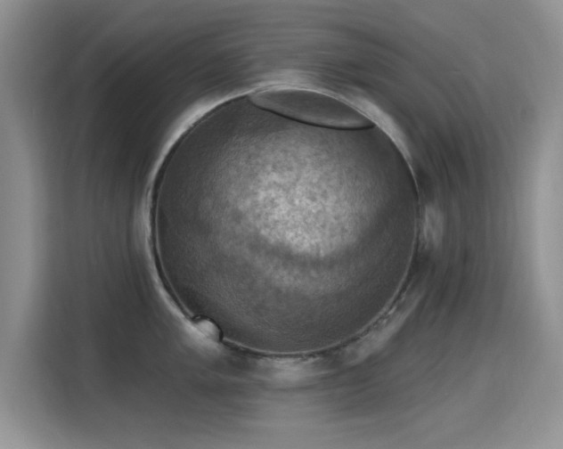 X0000115321005200911091153
