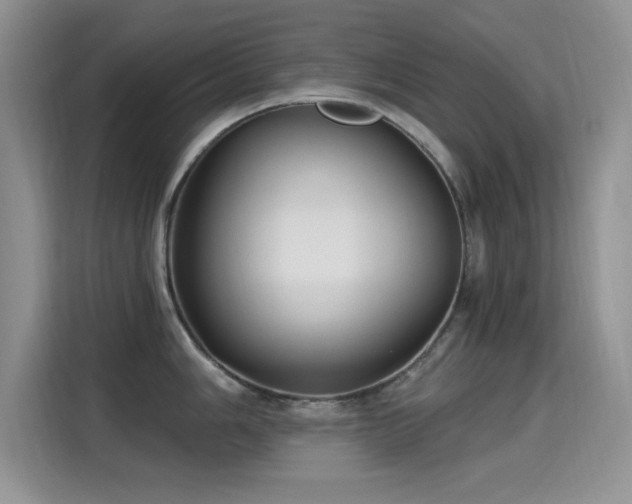 X0000115321006200911091153