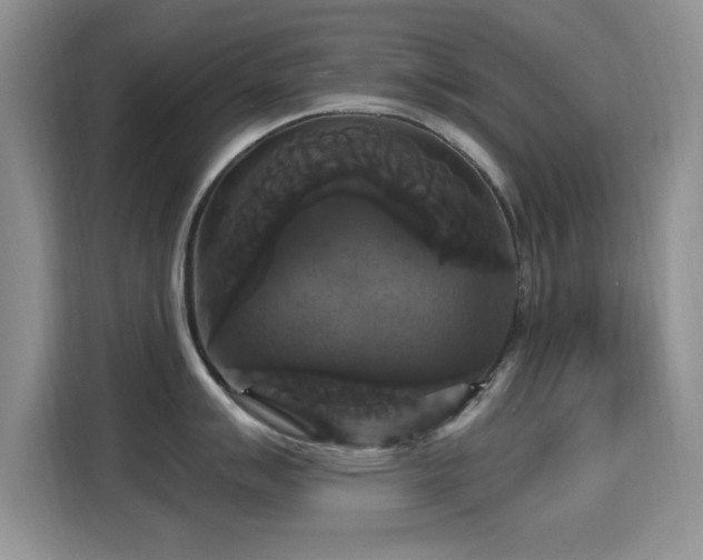 X0000115321007200911091153
