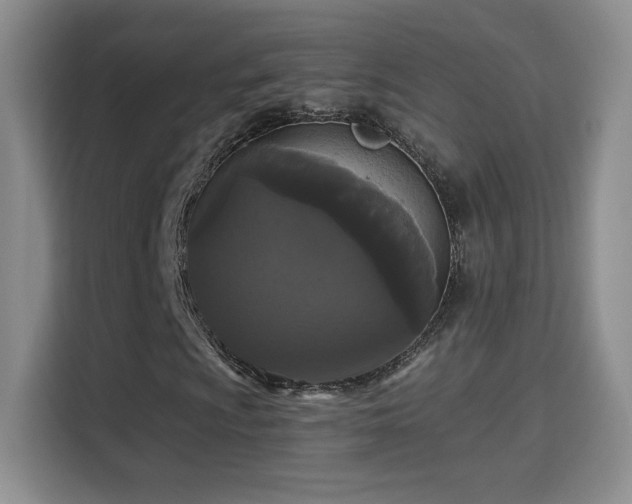 X0000115321009200911091152