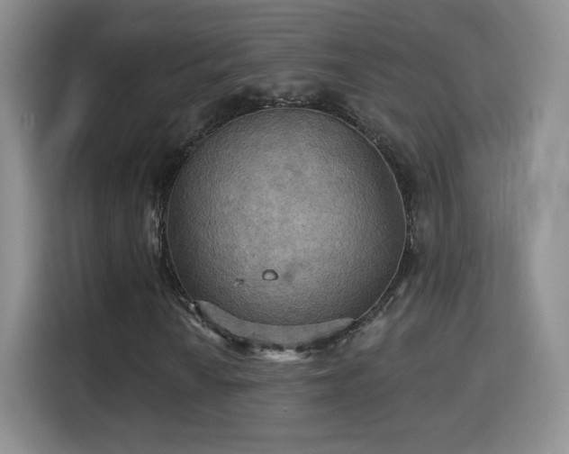 X0000115321010200911091152
