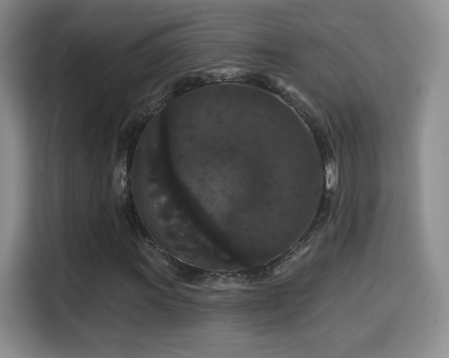 X0000115321011200911091152