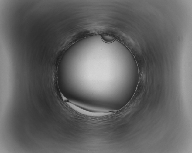 X0000115321012200911091152