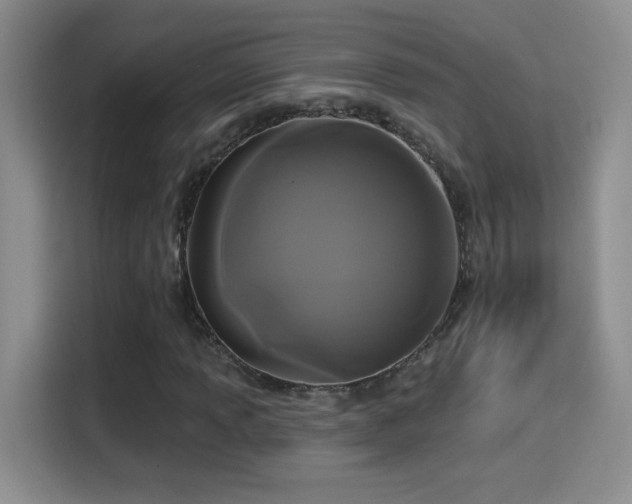 X0000115321013200911091152
