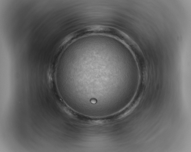 X0000115321017200911091152