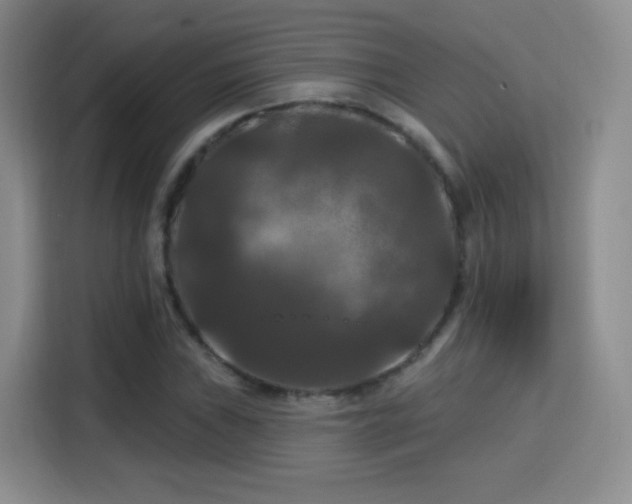 X0000115321019200911091152