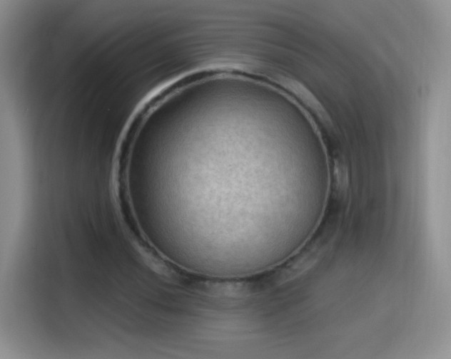 X0000115321020200911091152