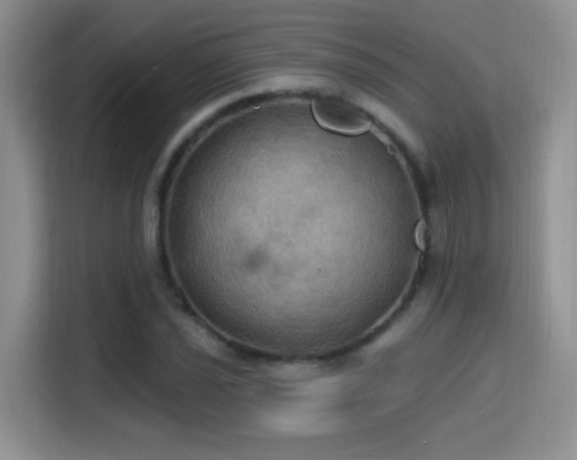 X0000115321021200911091152