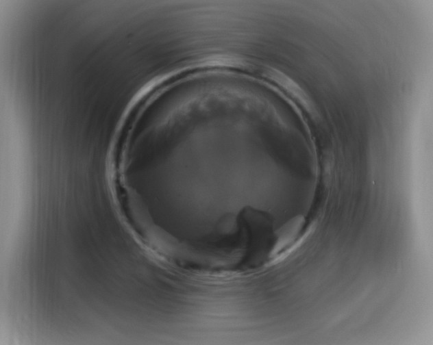 X0000115321024200911091153