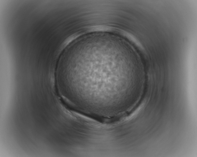 X0000115321025200911091153