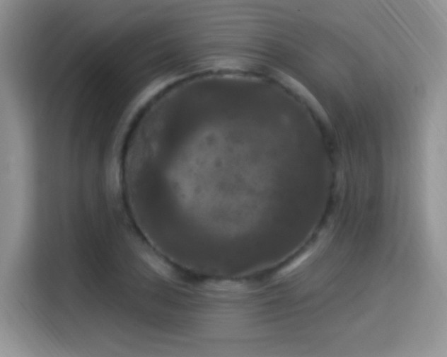 X0000115321027200911091153