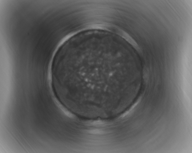 X0000115321028200911091153