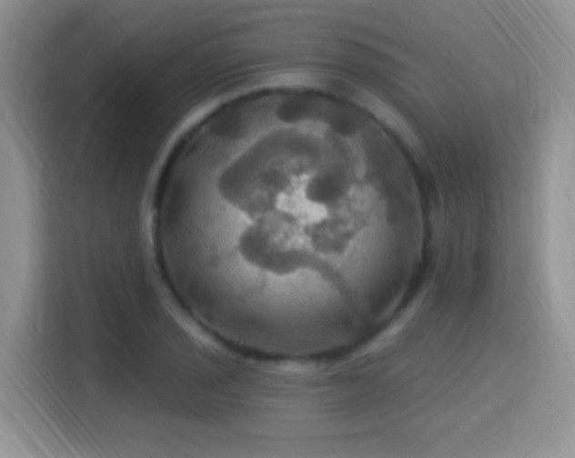 X0000115321029200911091153