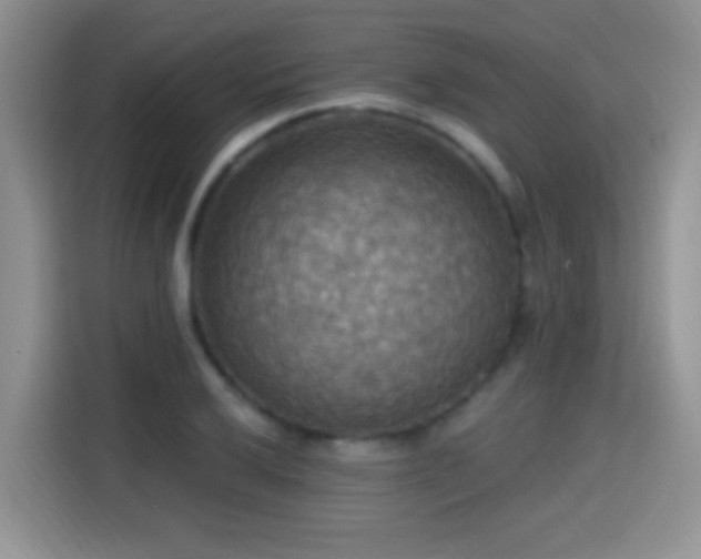 X0000115321032200911091153