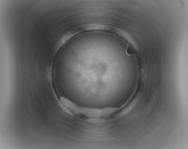 X0000115321033200911091153