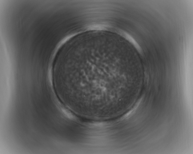 X0000115321035200911091153