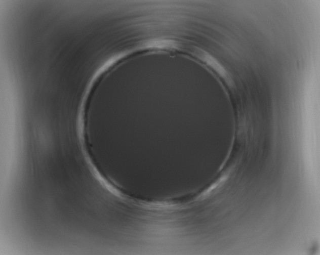 X0000115321037200911091153
