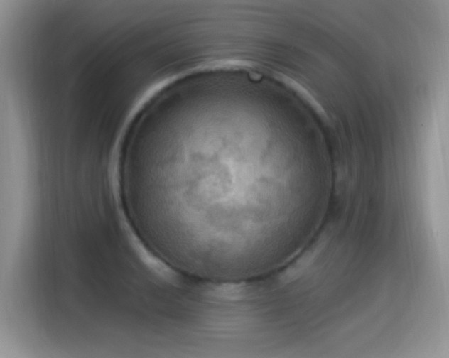 X0000115321038200911091153