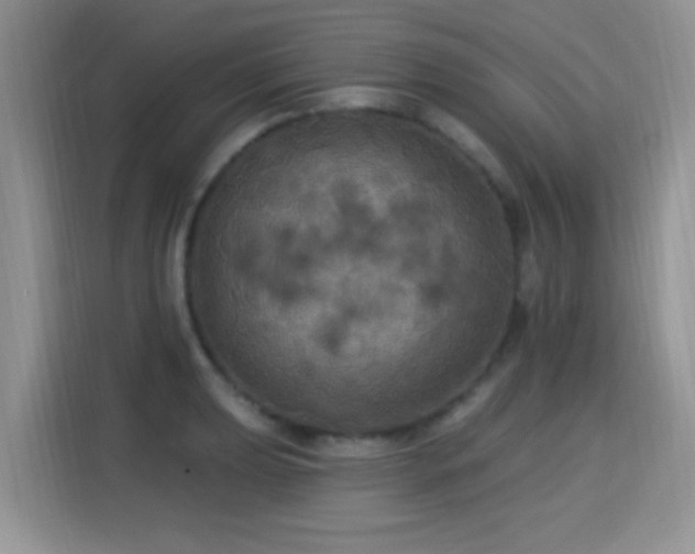 X0000115321039200911091153