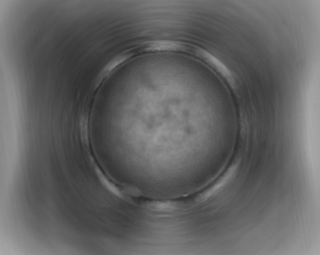 X0000115321041200911091153