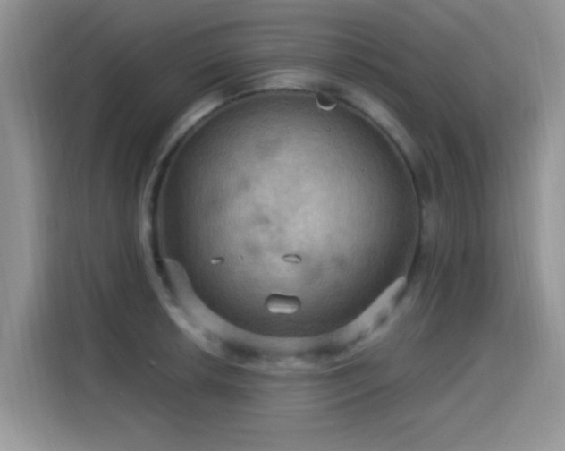 X0000115321042200911091153