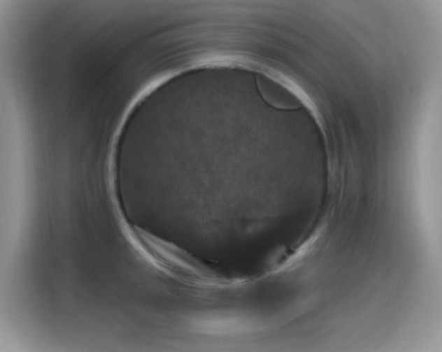 X0000115321045200911091153